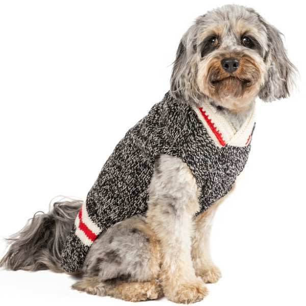 Boyfriend Dog Sweater | Wool Boyfriend Dog Sweater | Wool