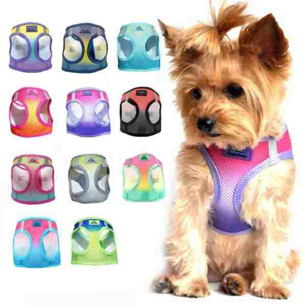 Rainbow Colors Small Dog Harness Ultra Choke Free