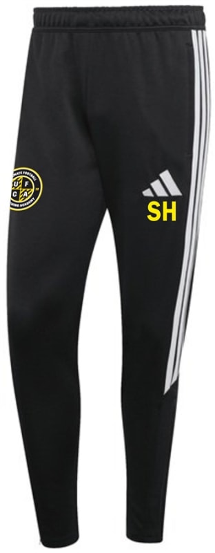 UFCA Scholars Training Pants