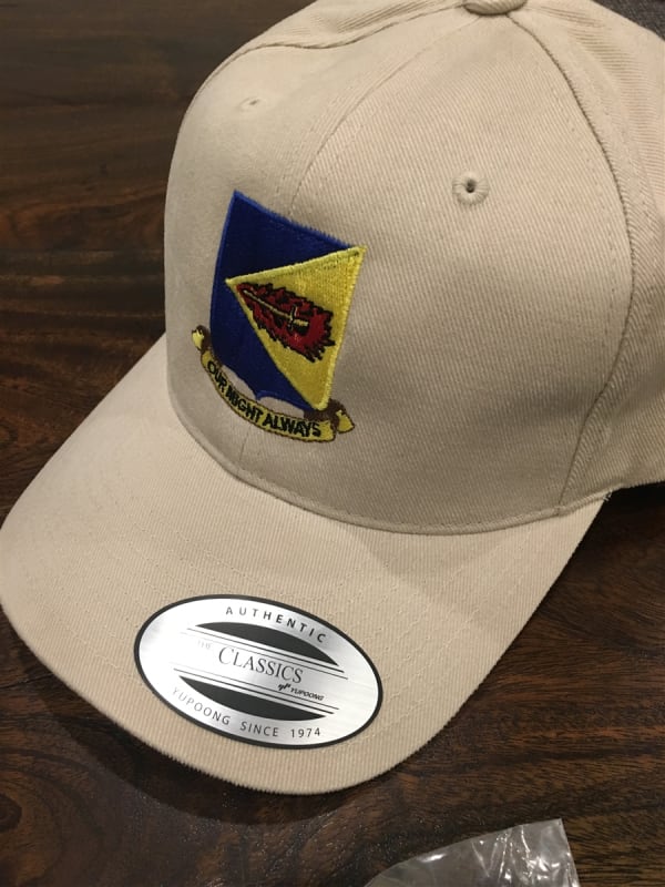 355th Fighter Group / Wing Squadron Hat - Sand Color - USAF Licensed Product