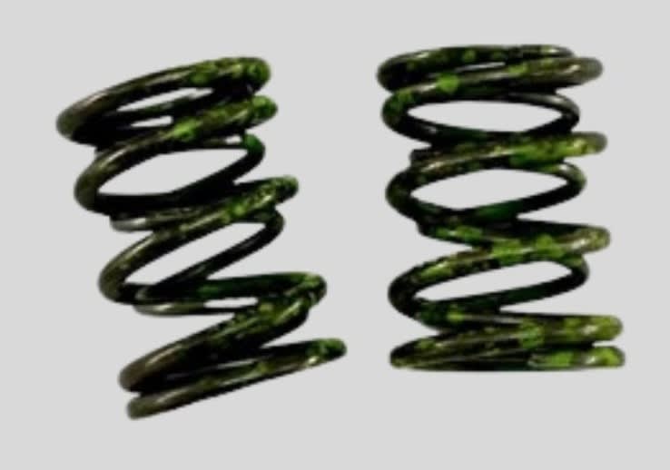Springs, Valve, 55lb Dual, Green Stripe, Pair