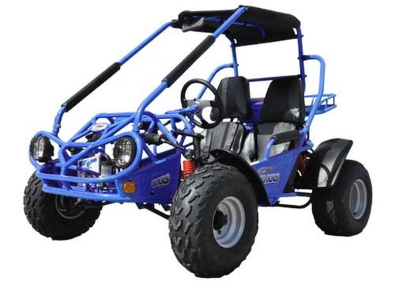 TrailMaster 200 XRS