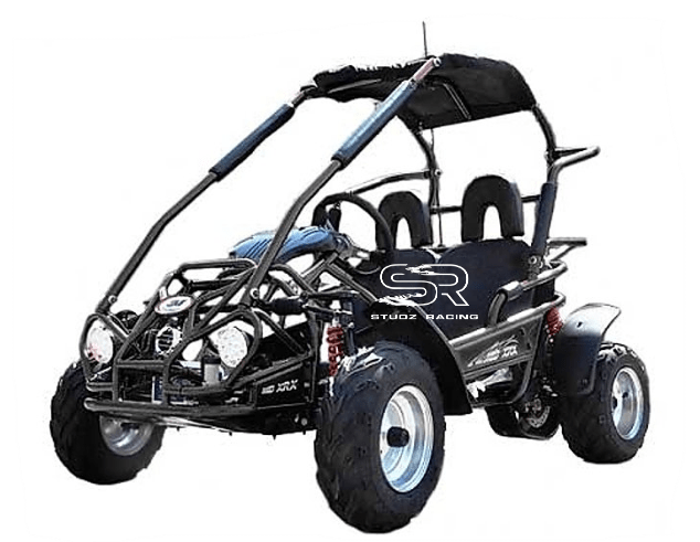 TrailMaster MB200-2 Mini Bike