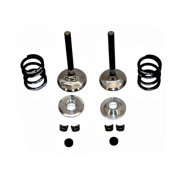 Stainless Steel Valve & Spring Package, 212 Hemi Predator, Single