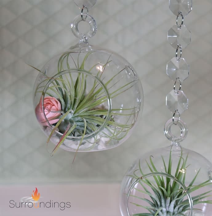 iron hanging planter Minimalist Hanging Planter