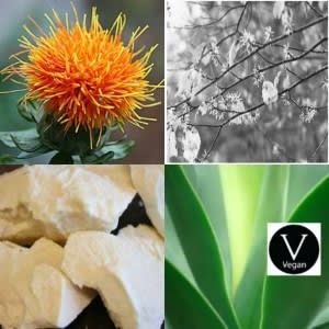 Body Lotion 4 - All Natural