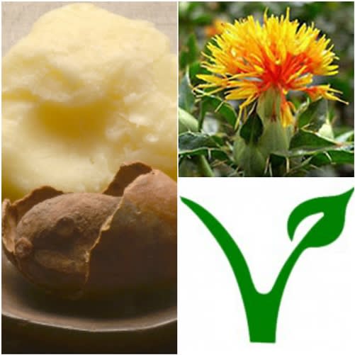 Cream / Lotion Base 4 - Aloe Free - All Natural