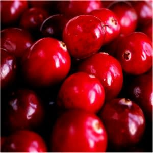 Cranberry Extract - Water Based