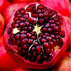 Pomegranate Butter