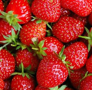 Strawberry Aroma - Oil Based