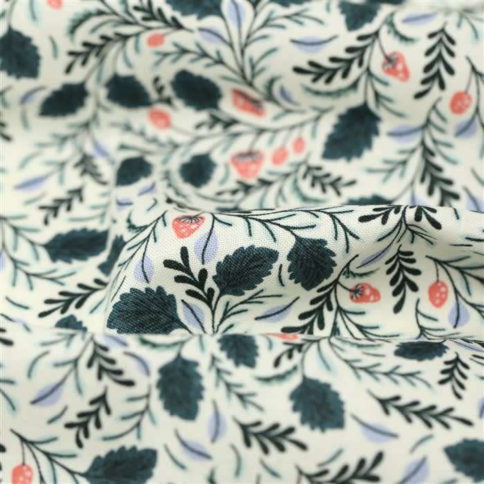 Mushroom Forest Cloud