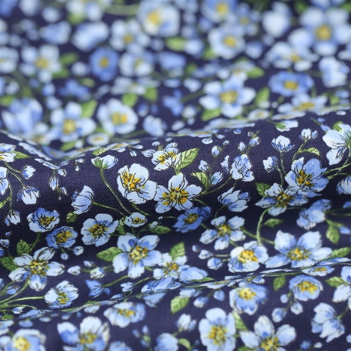 Nature's Notebook - Blue