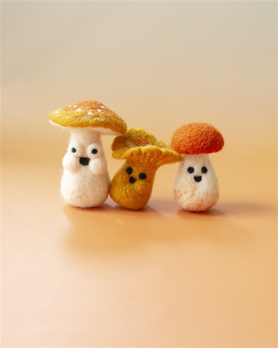 WORKSHOP | Intro to Needle Felting: Mushy Mates