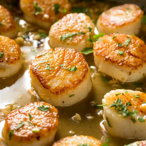 Scallops 8 Ounces New Bedford