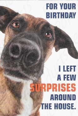 Recycled Paper Greetings Humor Funny Comic Birthday Card