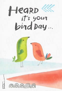 Recycled Paper Greetings Humor Funny Comic Birthday Card