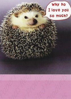 Recycled Paper Greetings Humor Romance Love Friendship Greeting Card, Funny Love Romance Card