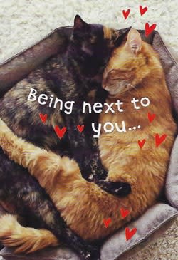 Recycled Paper Greetings Humor Romance Love Friendship Greeting Card, Funny Love Romance Card