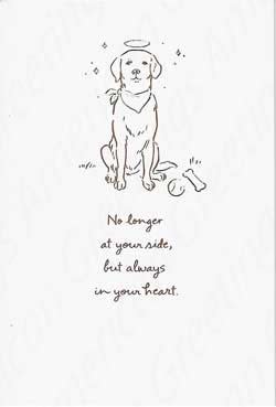 American Greetings Sympathy Greeting Card