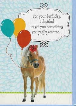 ORDER 9-144-Pkt 199-144-Humor Birthday