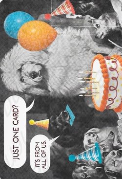 American Greetings Birthday Card