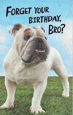 American Greetings Birthday Card