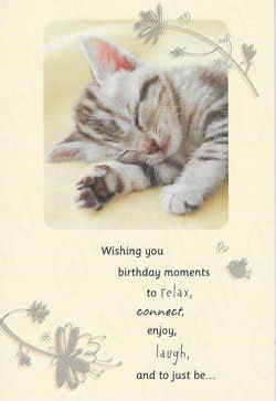 American Greetings Birthday Card