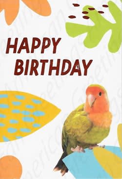 American Greetings Birthday Card