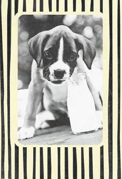 American Greetings Humor Friendship Card