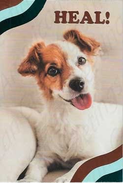 American Greetings Get Well Care & Concern Greeting Card