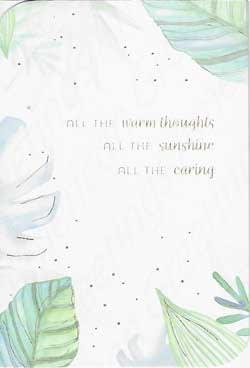 American Greetings Get Well Care & Concern Greeting Card