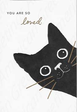 American Greetings Get Well Care & Concern Greeting Card