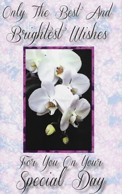 Pre-priced Birthday Cards, Value Priced Birthday Cards