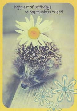 Pre-priced Friend Birthday Cards, Value Priced Friend Birthday Cards
