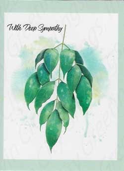 Pkt #9-964-Sympathy