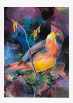Wildlife Greeting Card