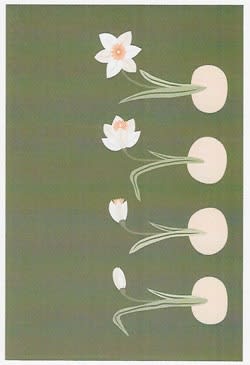 Wildlife Greeting Card