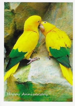 Wildlife Greeting Card