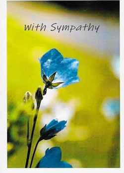Wildlife Greeting Card