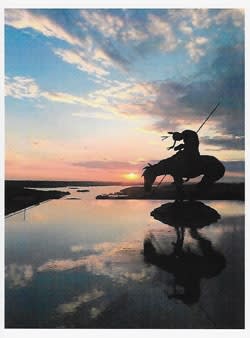 Wildlife Greeting Card