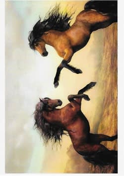 Wildlife Greeting Card