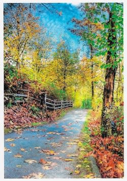 Wildlife Greeting Card, Up North birthday card