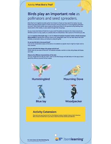 <span style="font-weight: bold;"><br><br>62009   STEAM English Bird Metal Sign #9</span>  <br><ul>