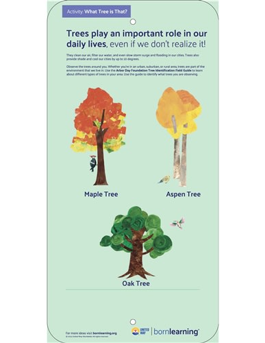 <span style="font-weight: bold;"><br><br>62010   STEAM English Tree Metal Sign #10</span>  <br><ul>