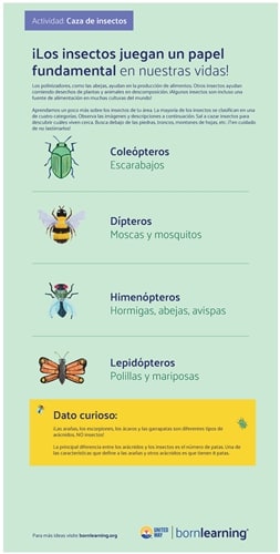 <span style="font-weight: bold;"><br><br>62108   STEAM Spanish Bug Hunt Metal Sign #8</span>  <br><ul>