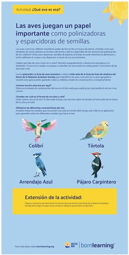 <span style="font-weight: bold;"><br><br>62109   STEAM Spanish Bird Metal Sign #9</span>  <br><ul>