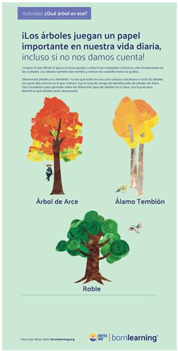 <span style="font-weight: bold;"><br><br>62110   STEAM Spanish Tree Metal Sign #10</span>  <br><ul>