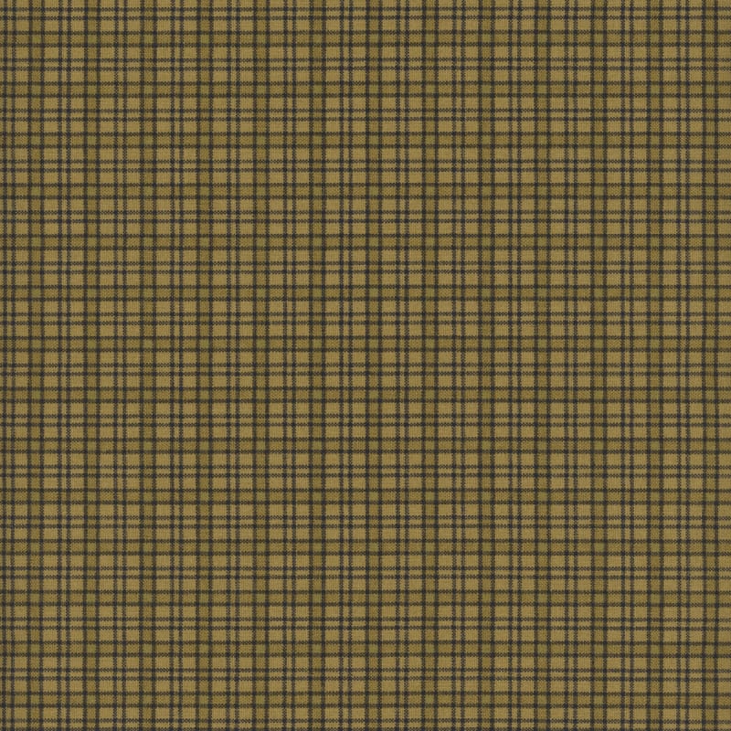 JAMESTOWN: CHECK in Fern Green   by Jo Morton