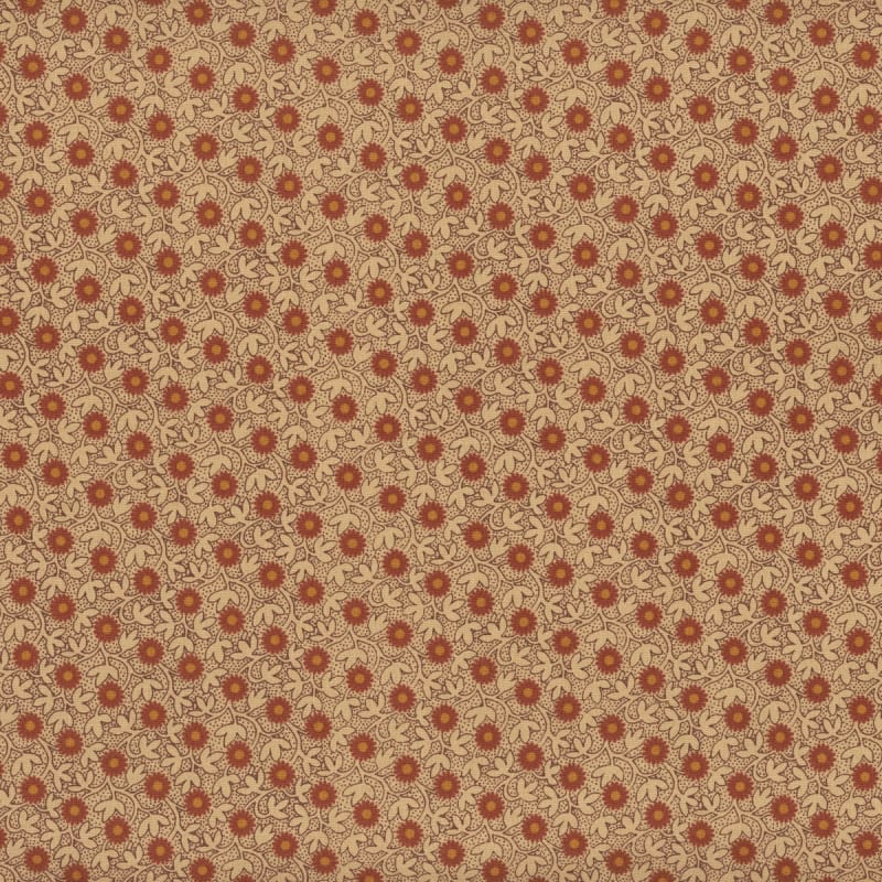 JAMESTOWN:   DAISY in Gourd by Jo Morton