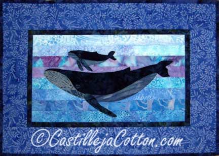 CC Humpback Whales